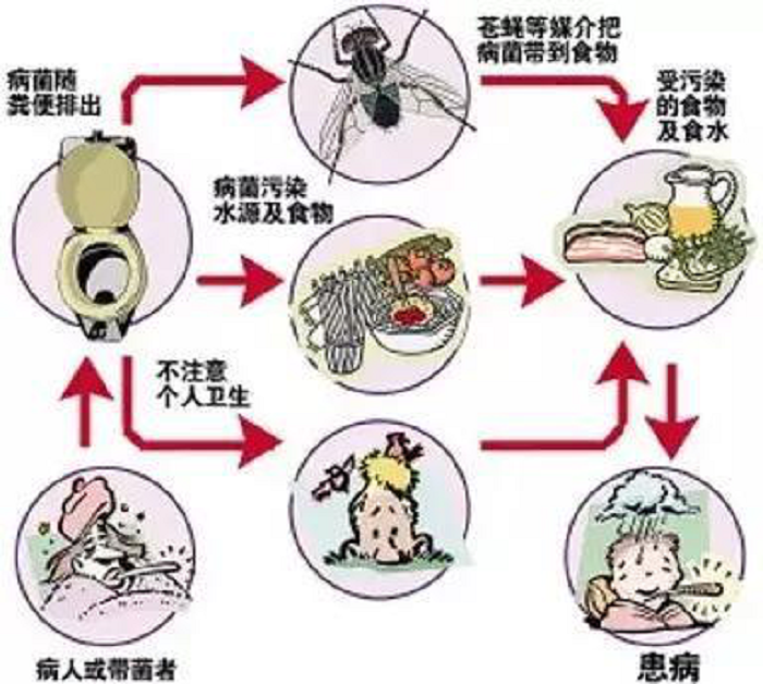 浅析"新冠病毒"的粪口传播风险